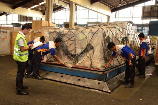 Jasa-Customs-Clearance-Di-Bandara-Soekarno-Hatta-081398881288.jpg
